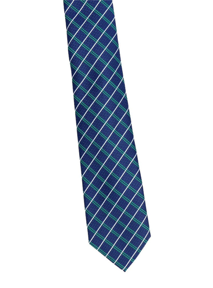 Zila kaklasaite ar rūtainu rakstu